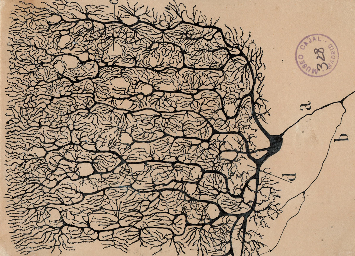 Research Cover Image 2