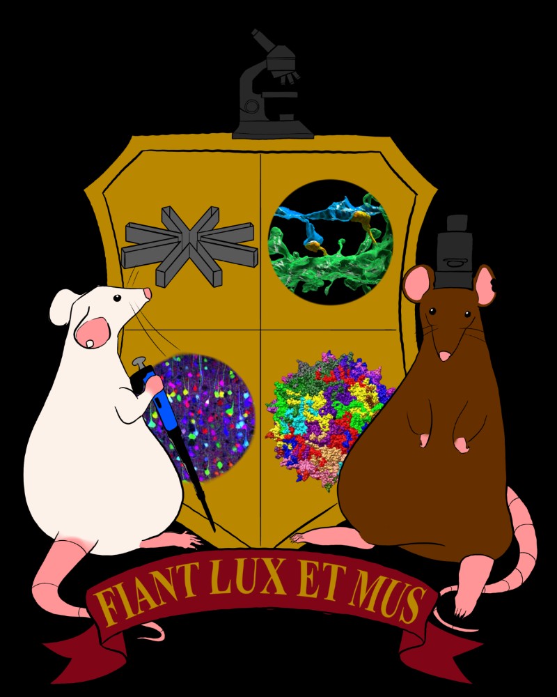 Solomaya "Sally" Schwab